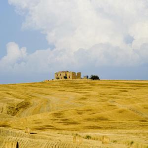 巨胸美女爆❌免费高跟鞋
